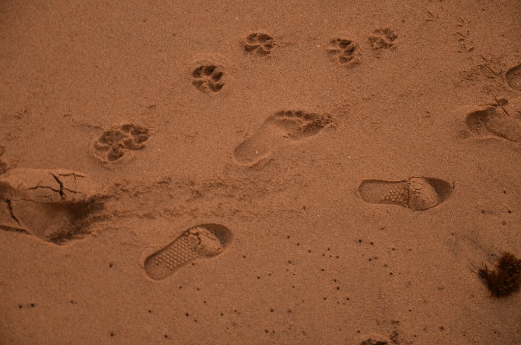 Lizbon’da gün batımı